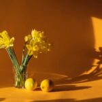 daffodils 6523446 1280