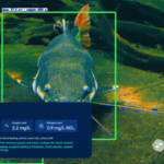 Fishcluster emerges from stealth with over US$1 million in paid commercial pilot infrastructure demand