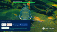 Fishcluster emerges from stealth with over US$1 million in paid commercial pilot infrastructure demand
