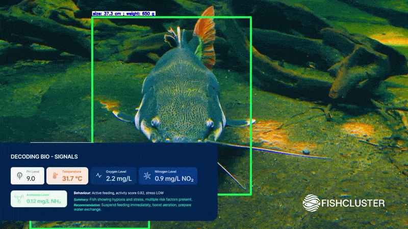 Fishcluster emerges from stealth with over US$1 million in paid commercial pilot infrastructure demand